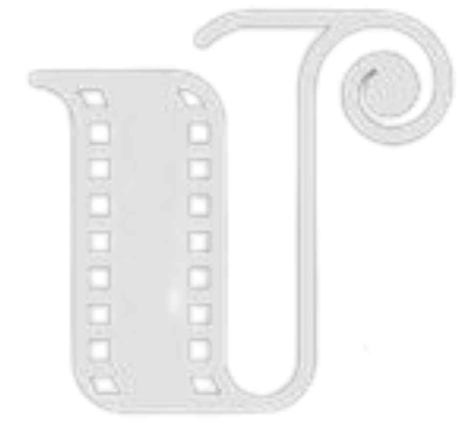 Reels Insider Media Logo